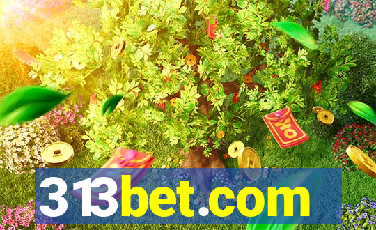 313bet.com