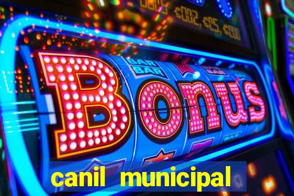 canil municipal porto alegre