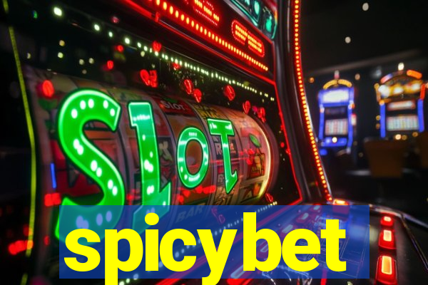 spicybet-4.com