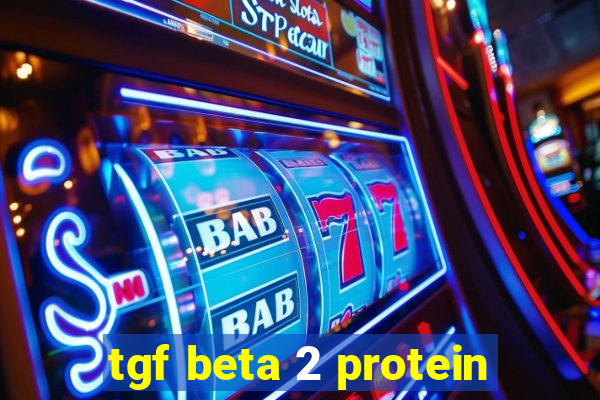 tgf beta 2 protein